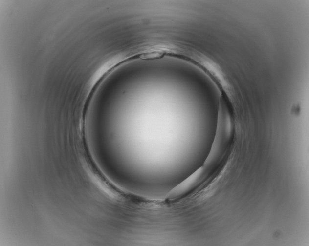 X0000092001234200709061432