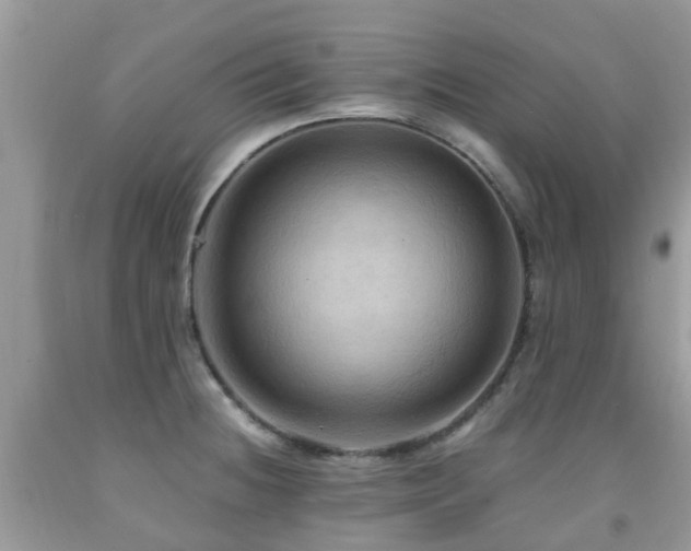 X0000092001236200709061432