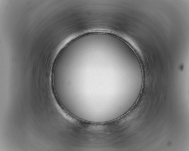X0000092001237200709061432