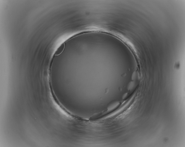 X0000092001239200709061432