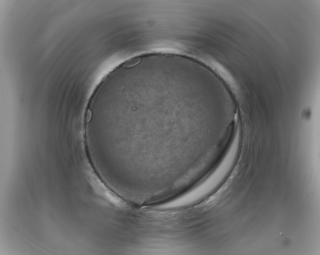 X0000092001240200709061432