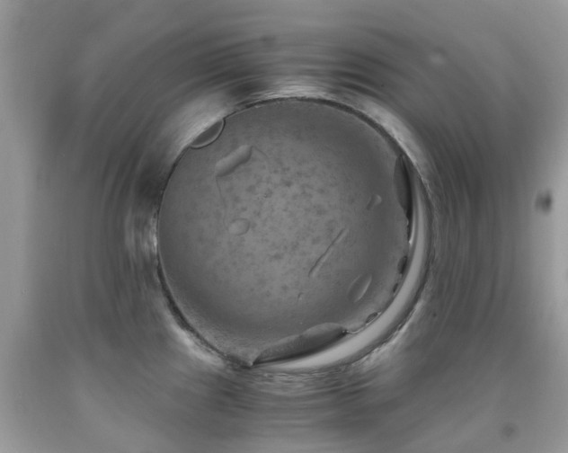 X0000092001241200709061432