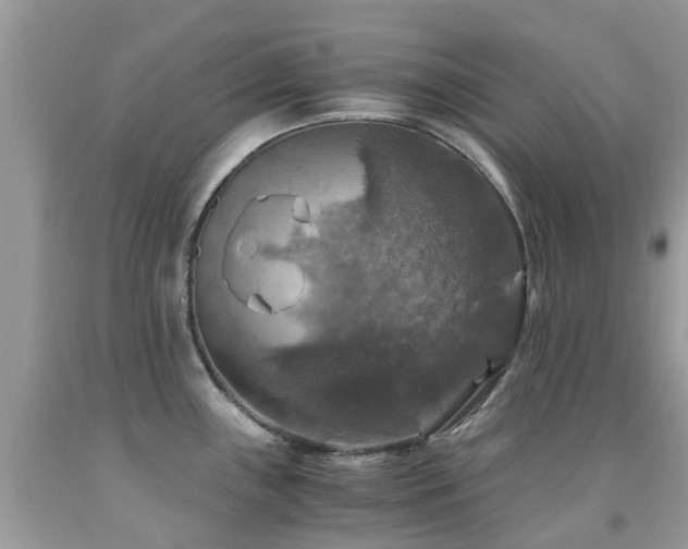 X0000092001243200709061432