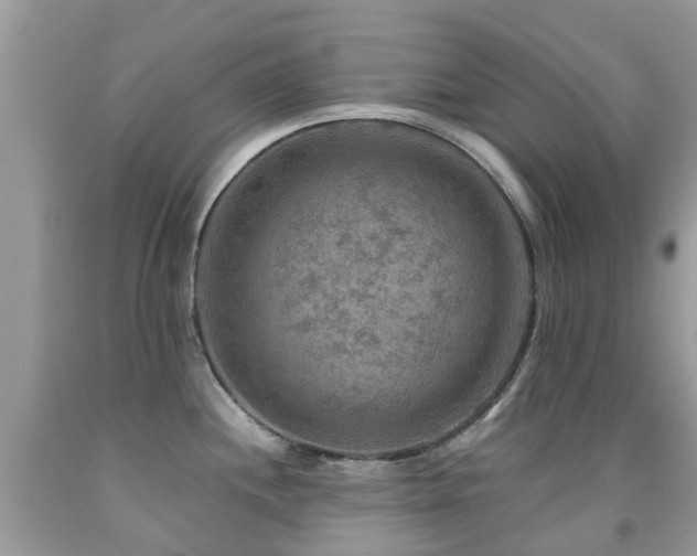 X0000092001244200709061432