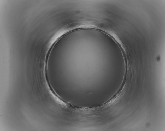 X0000092001245200709061432
