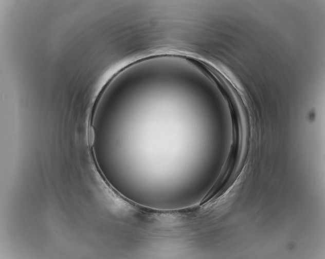 X0000092001246200709061432