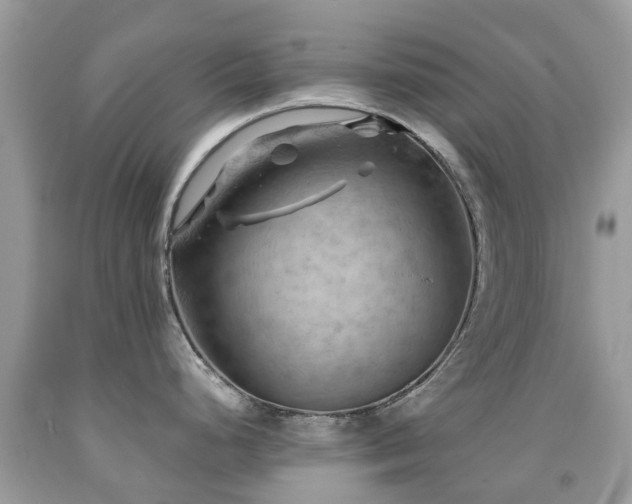 X0000092001248200709061432