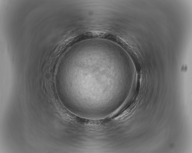 X0000092001249200709061432