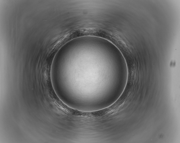 X0000092001250200709061432