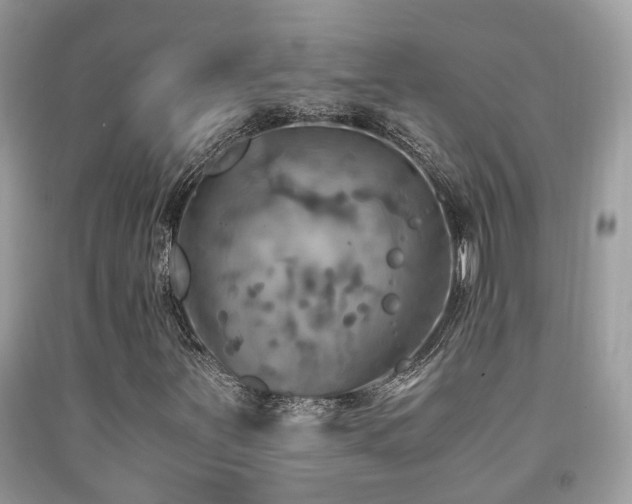 X0000092001251200709061432