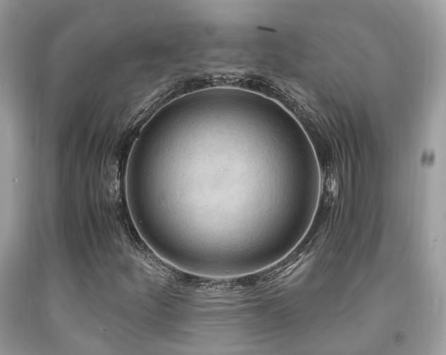 X0000092001252200709061432