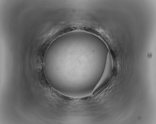 X0000092001253200709061431