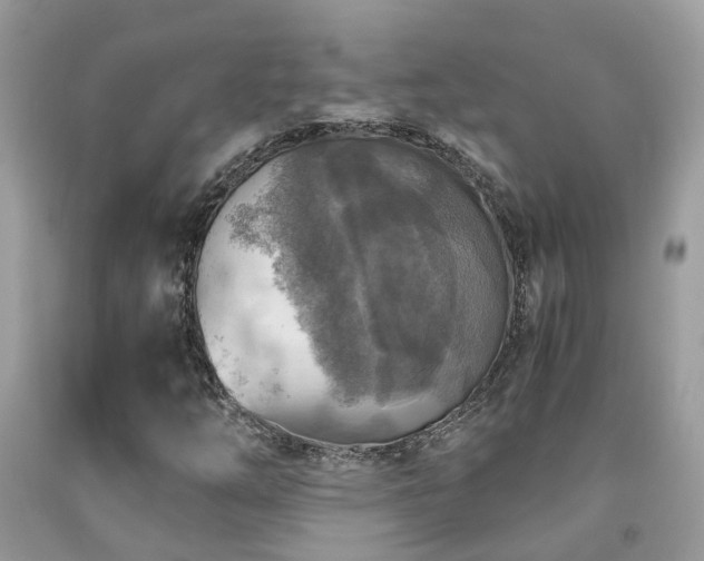X0000092001254200709061431