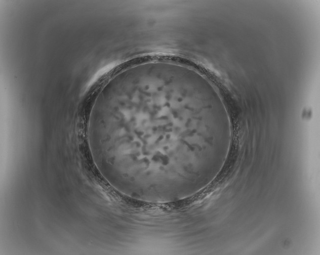 X0000092001255200709061431