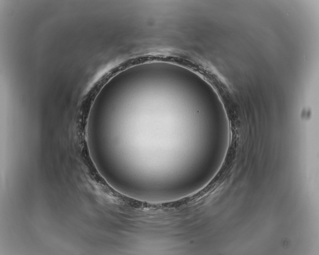 X0000092001256200709061431