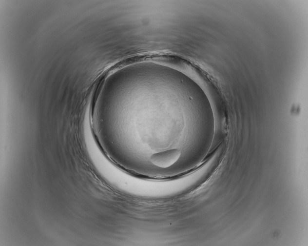 X0000092001257200709061431