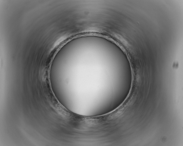X0000092001258200709061431