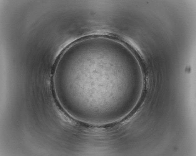 X0000092001260200709061431