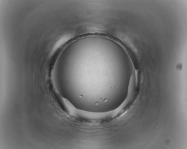 X0000092001261200709061431