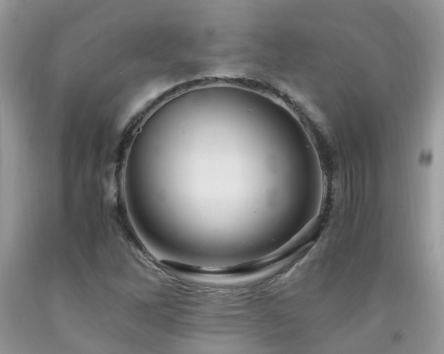X0000092001262200709061431