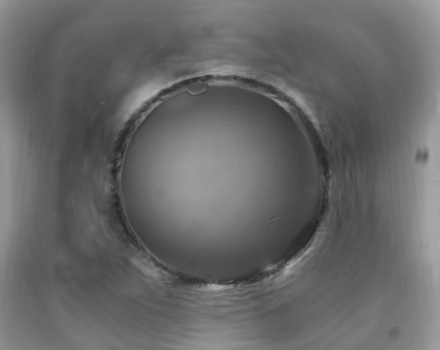 X0000092001263200709061431