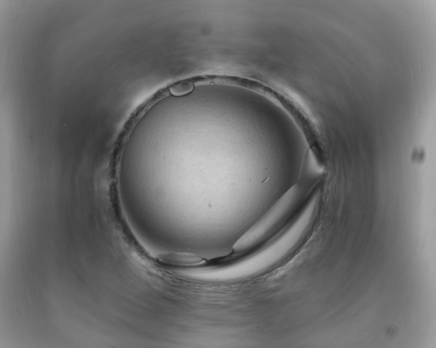 X0000092001264200709061431
