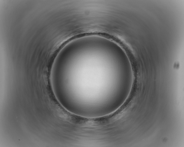 X0000092001265200709061431