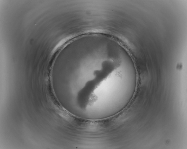 X0000092001266200709061431