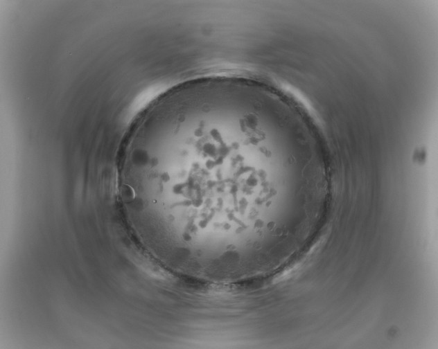 X0000092001267200709061431