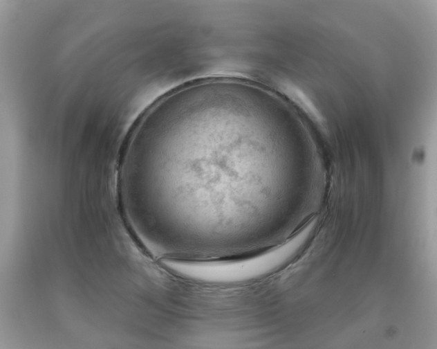 X0000092001268200709061431