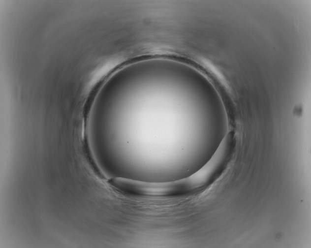 X0000092001269200709061431