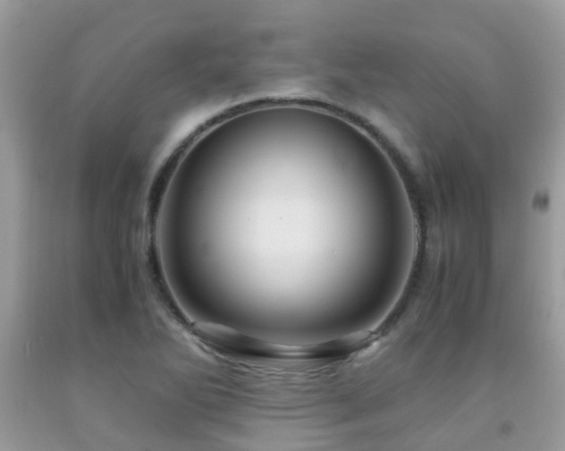 X0000092001270200709061431