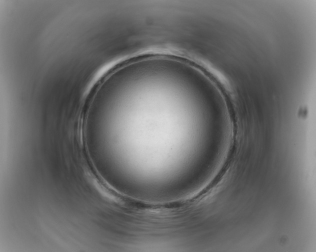 X0000092001272200709061431