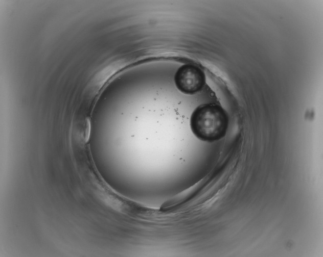 X0000092001273200709061431