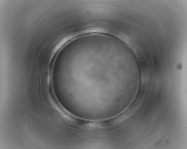 X0000092001274200709061431
