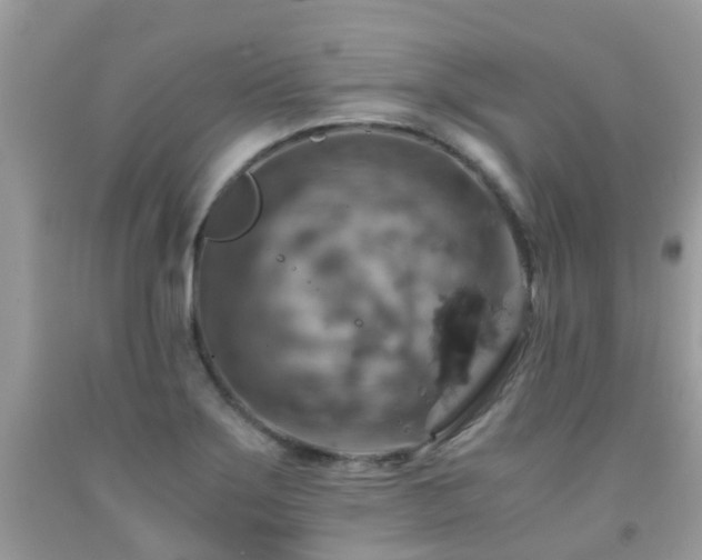 X0000092001275200709061431