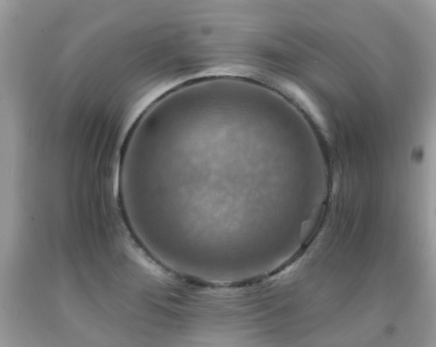 X0000092001276200709061431