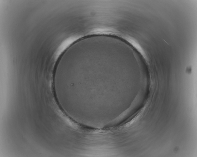 X0000092001277200709061431