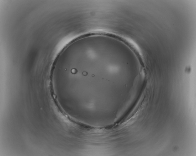 X0000092001279200709061431