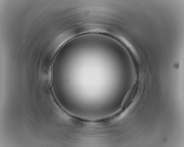 X0000092001281200709061431