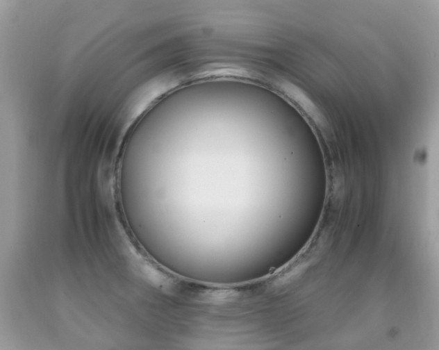 X0000092001282200709061431