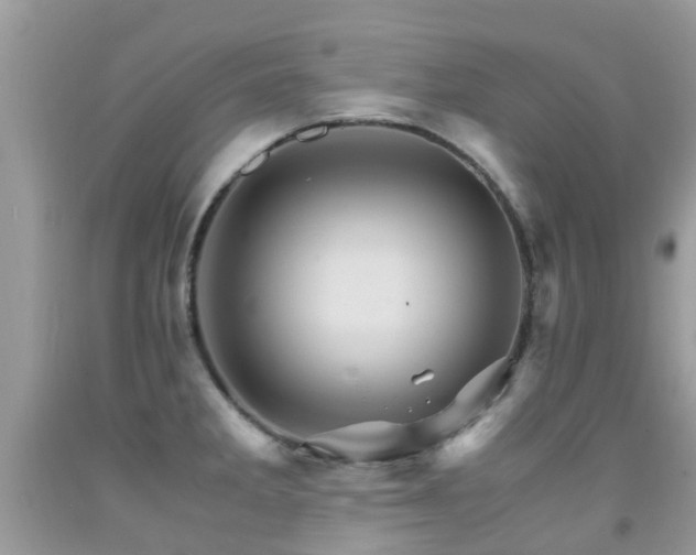 X0000092001285200709061431