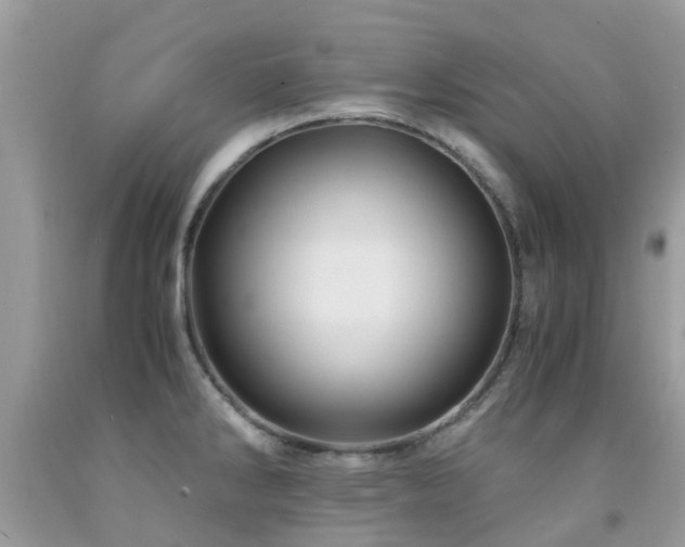 X0000092001286200709061431