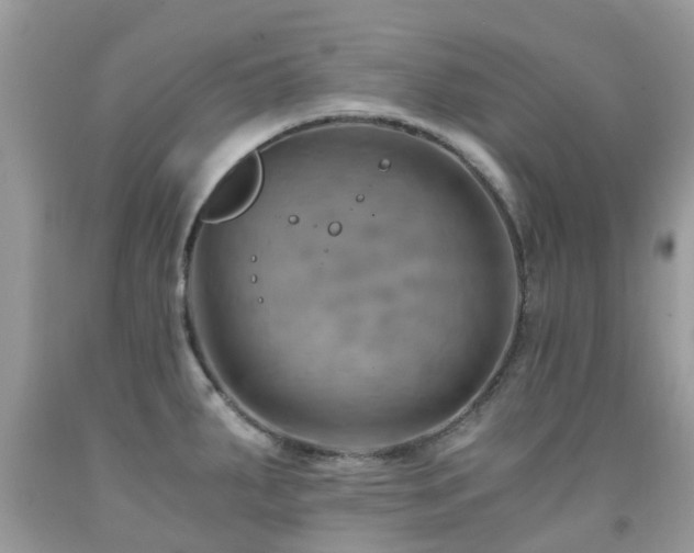 X0000092001287200709061431