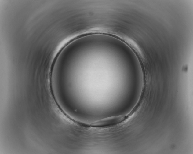 X0000092001288200709061431