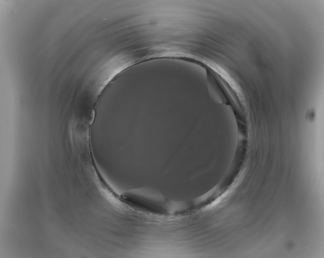 X0000092001289200709061431