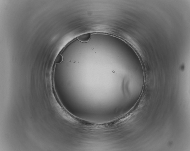 X0000092001291200709061431