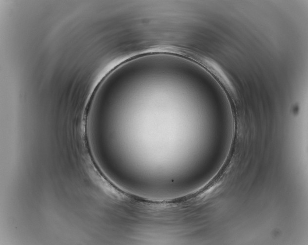 X0000092001292200709061431