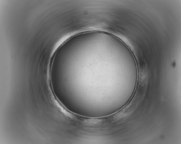 X0000092001294200709061431