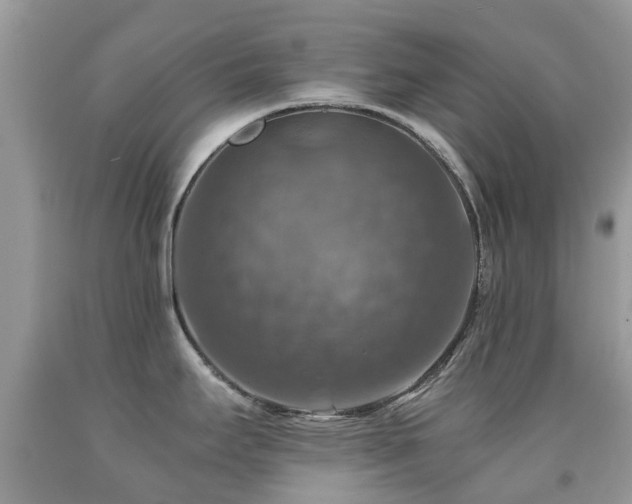 X0000092001295200709061431